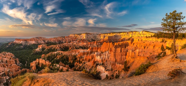 Bryce Canyon, hoodoos, sunrise, panorama