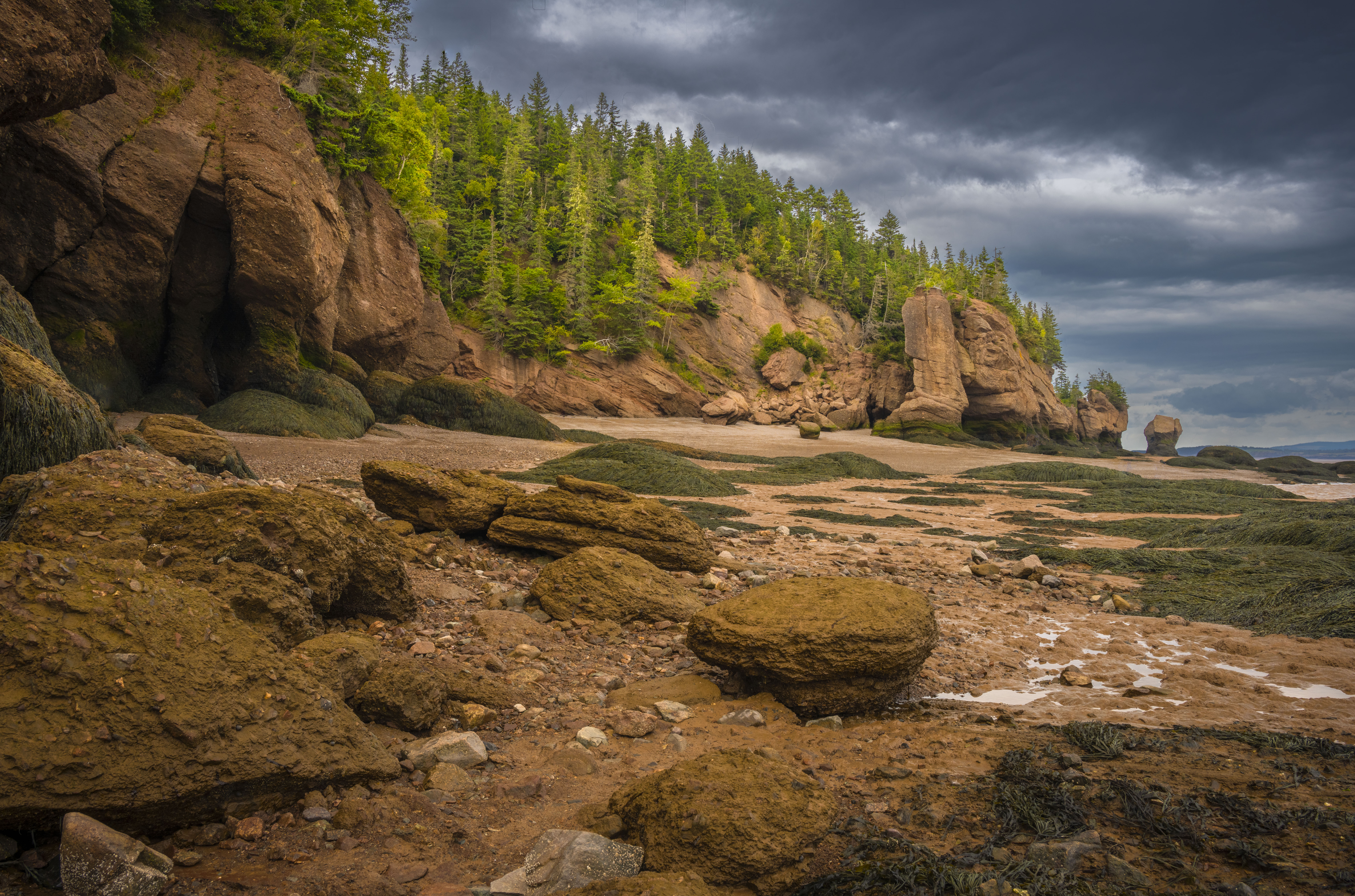 Hopewell Rocks – Copyright 2026 Philip Colet