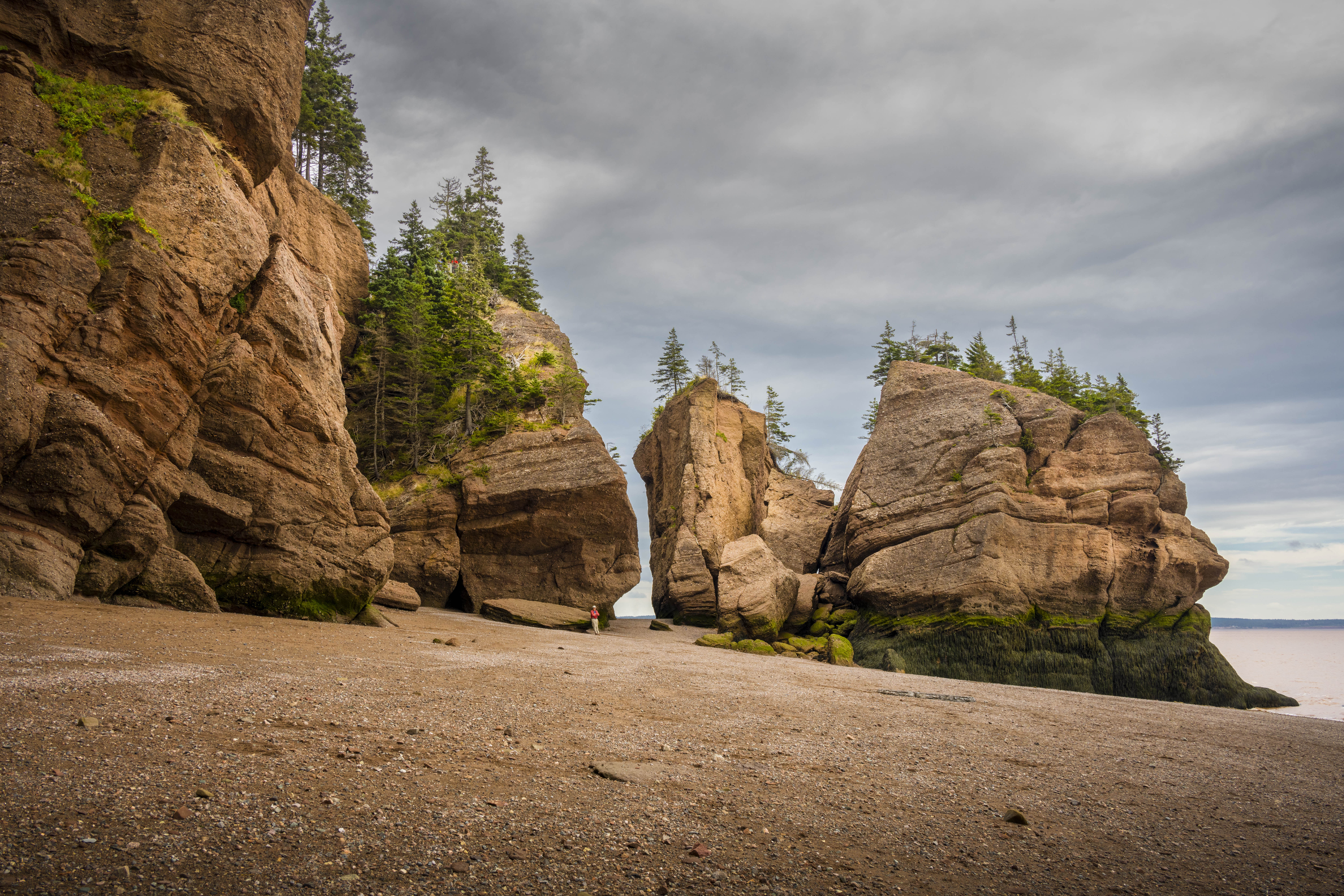 Hopewell Rocks – Copyright 2026 Philip Colet