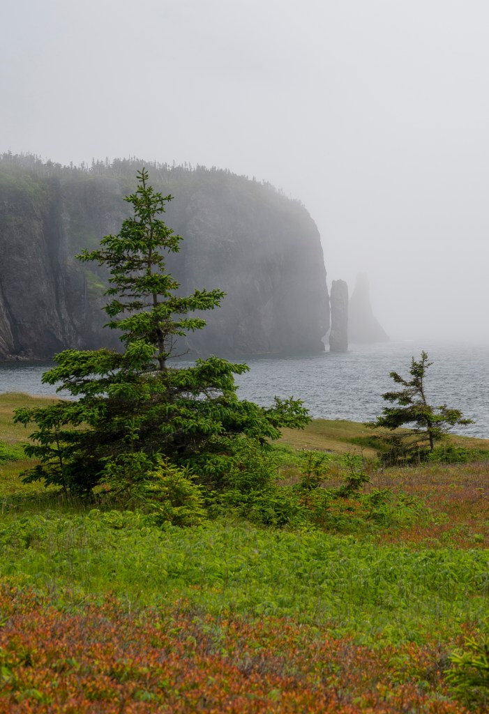 Skerwink Trail at White Cove Beach