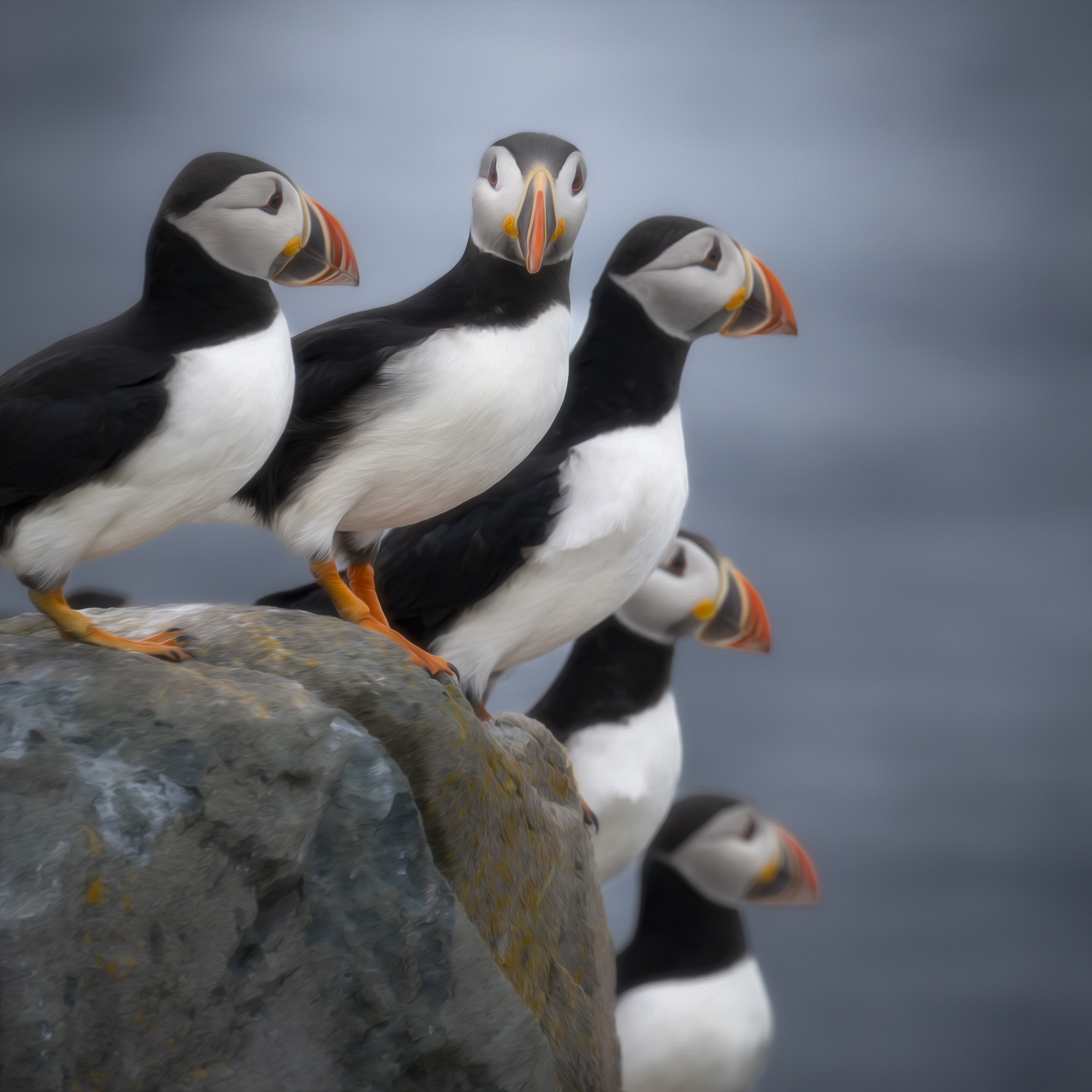puffin-art-7-of-7.jpg?w=1024